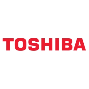 TOSHIBA battery